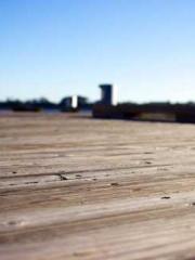 Professor Yan is goi