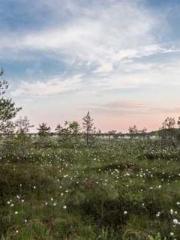 lt;Liang Yimo Cold N