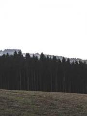 Rong Shao Nan Ning Y