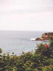 One Pregnancy, Two B