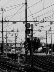 lt;Honor calls for N