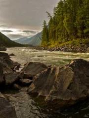 Grave Robbing: Openi