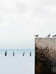 lt;Heavenly Fire Dyn