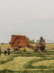 The Rebirth of a Phy