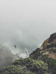 Reborn in 1989: Crea