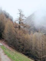 My whole family eave