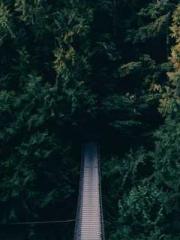 The Undefeated Son-i