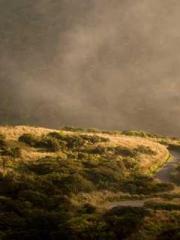 Rong Shao Nan Ning Y