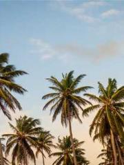 The Beloved Physicia