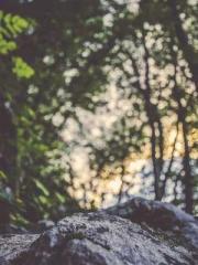 Chen Pingapos;an and